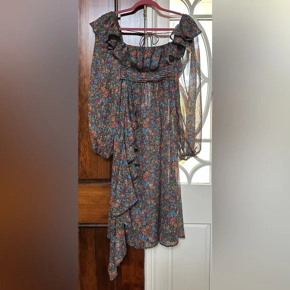 NWT For Love & Lemons Sheer Floral Brittany Dress – Size XS - Picture 10 of 16